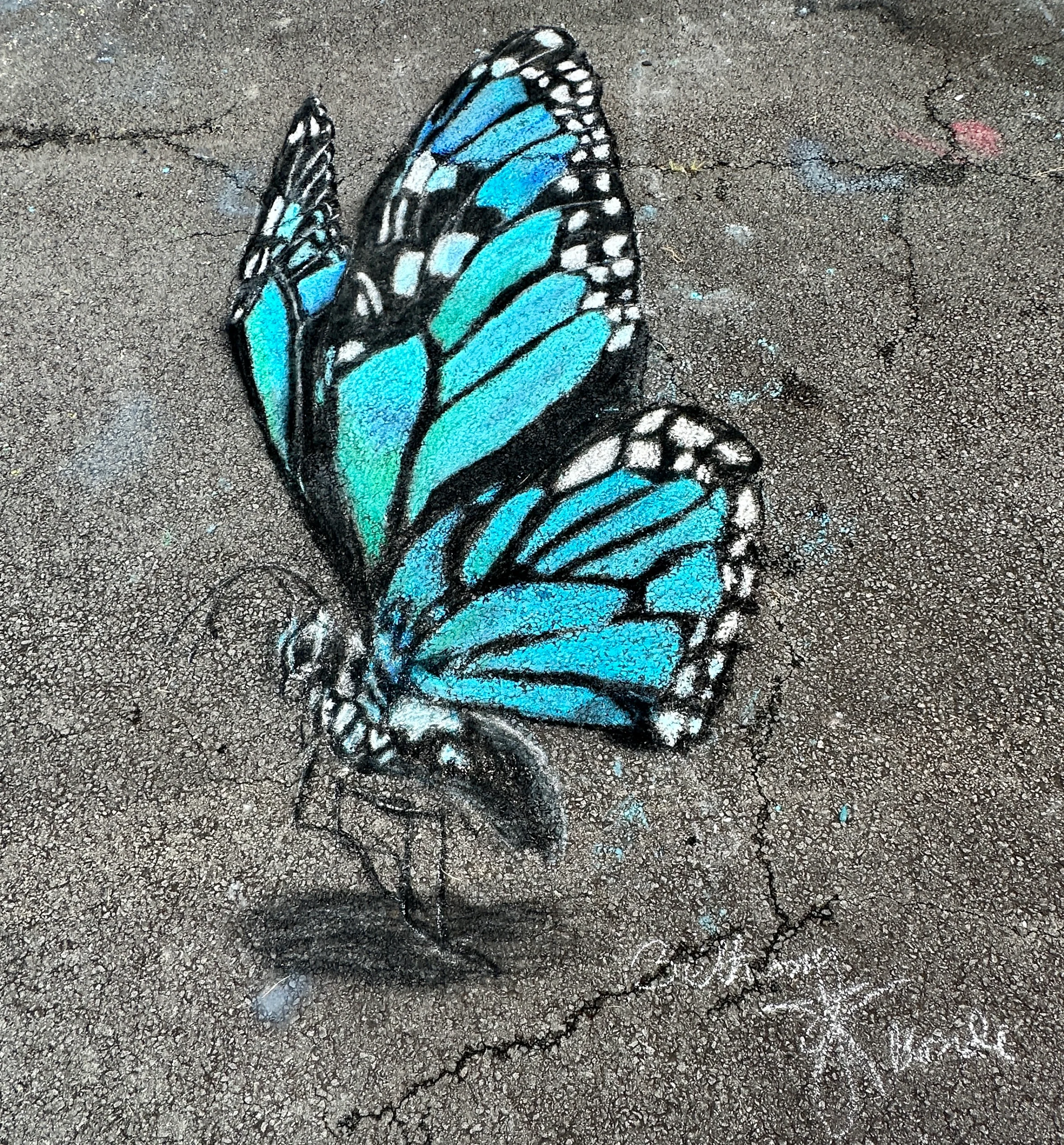 chalk butterfly drawing Why should I sponsor an artist?